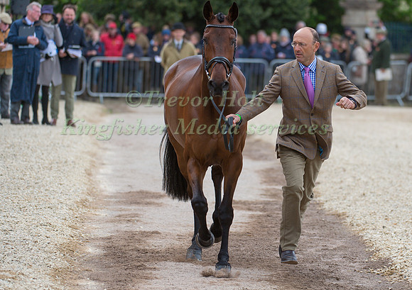 Bill Levett (AUS) and Shannondale Titan