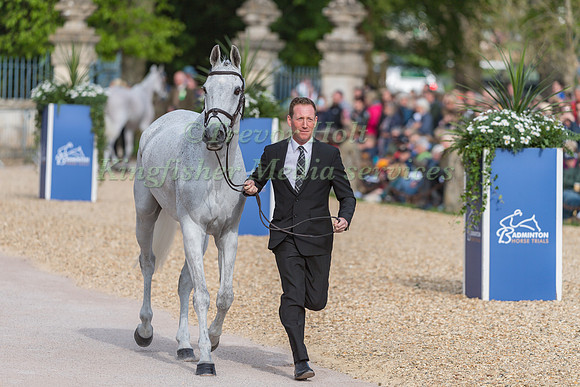 Oliver Townend (GBR) and Swallow Springs
