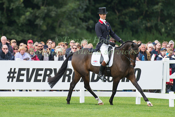William Fox-Pitt of Great Britain riding Bay My Hero