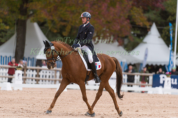 Karim Florent Laghouag of France riding Entebbe De Hus