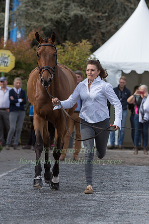 SELINA MILNES AND IRON