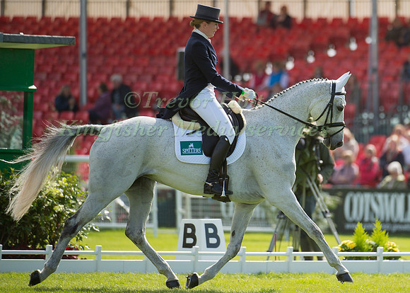 Flora Harris (GBR) riding Amazing VIII