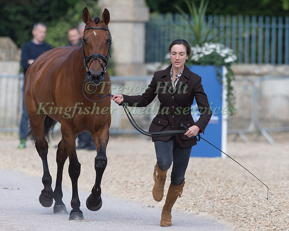 Becky Heappey (GBR) and DHI Babette K