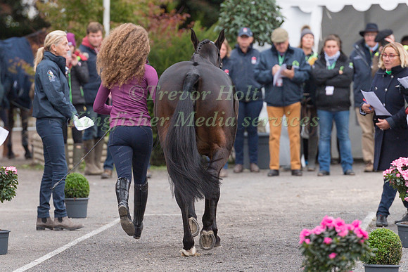 DANIELLE DUNN (GBR) AND ZOCARLA BLHD