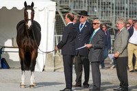 CCI Four Star Final Horse Inspection