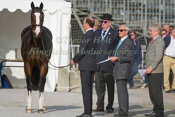 Tim Price of New Zealand and Wesko