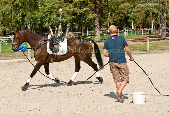 Stuart Ward Lunging Some Day Soon