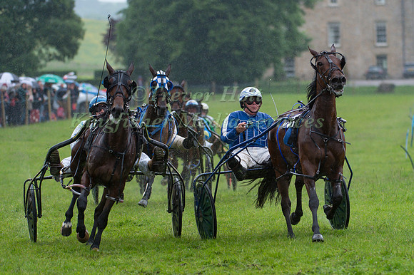 Helifield Harness Racing