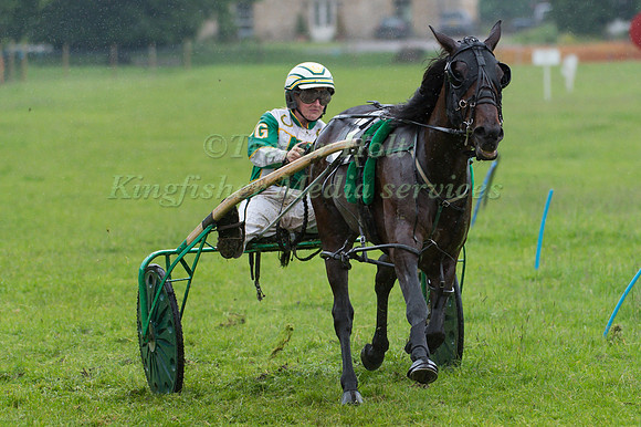 Victoria C Gill driving Brywins Magician