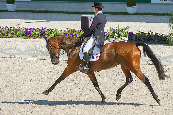 Astier Nicolas riding Piaf de B'Neville taking part in the dressage test