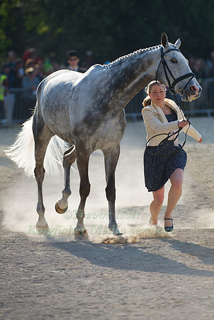 Tina Coudray and Ringwood Magister