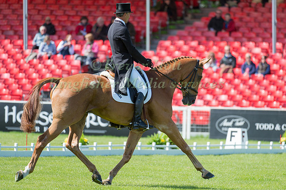 Andrew Nicholson (NZL) riding Nereo