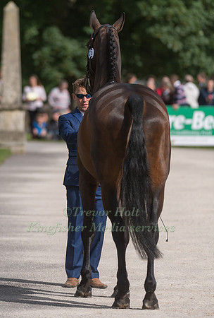 SIMON GRIEVE (GBR) AND DOUGLAS AT THE EQUI-TREK CCI *** FINAL HORSE INSPECTION OF THE 2017 BRAMHAM INTERNATIONAL HORSE TRIALS