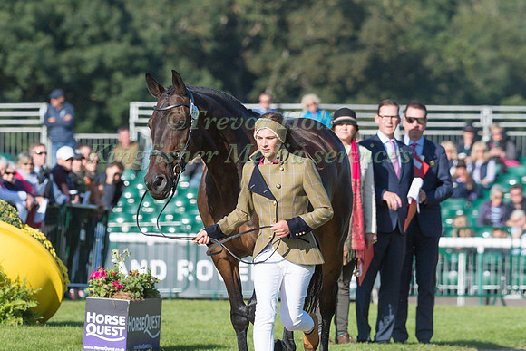 NICKY HILL (GBR) AND MGH BINGO BOY
