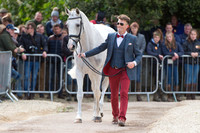 Paul Tapner (AUS) and Kilronan