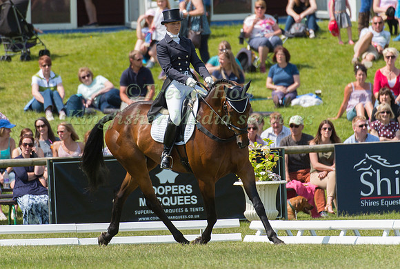Dani Evans (GBR) riding Raphael II