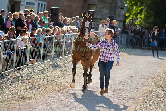 Hanne Wind Ramsgaard of Denmark and Vestervangs Arami