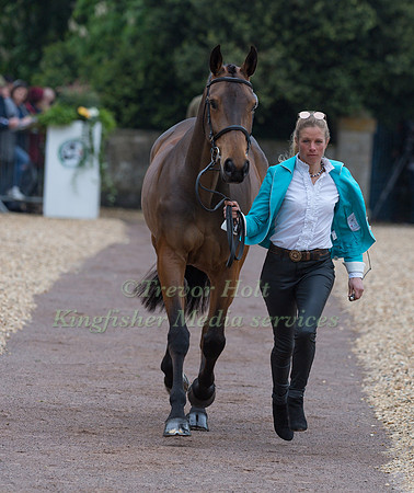 Izzy Taylor (GBR) and  Call Me Maggie May