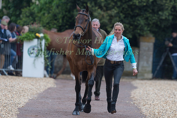 Izzy Taylor (GBR) and  Springpower