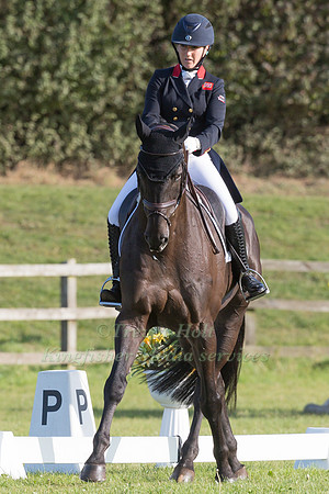 LAURA COLLETT AND DACAPO