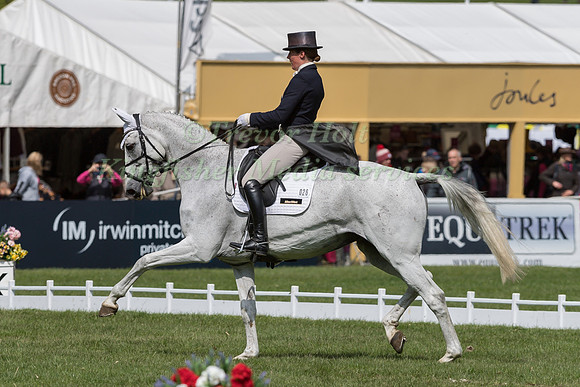 FLORA HARRIS AND  AMAZING VIII