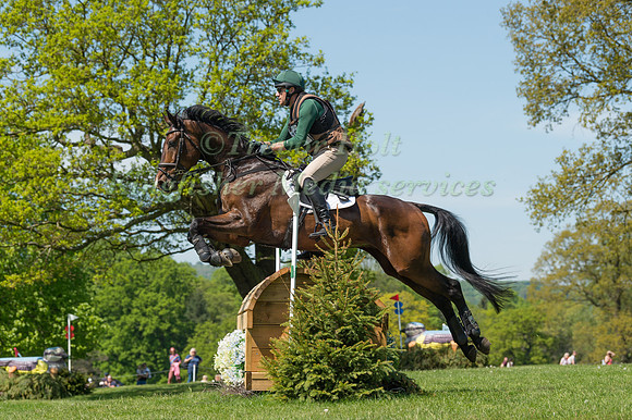 DAVID SHEERIN RIDING  QUIRADO STN
