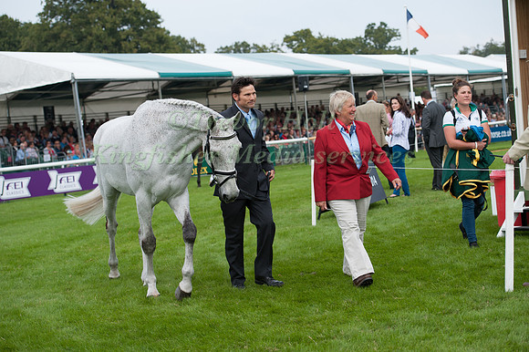 Shane Rose (AUS) and CP Qualified head to the holding box at the 1st horse inspection