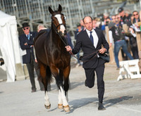 Tim Price of New Zealand and Wesko