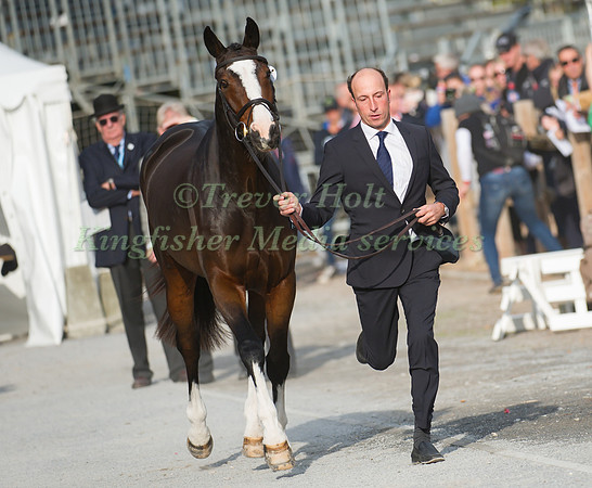 Tim Price of New Zealand and Wesko