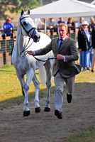 Oliver Townend and Flint Curtis
