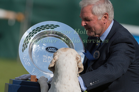 A HOUND TRIES TO LICK THE LAND ROVER PERPETUAL TROPHY