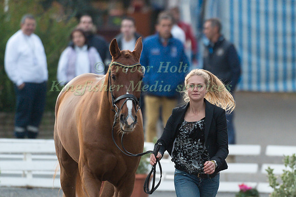 Amanda Brieditis (SWE) and Boleybawn Fernhill