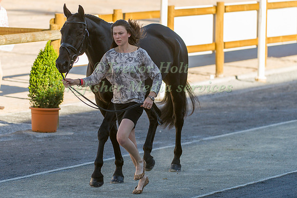 Kathryn Robinson and Let It Bee