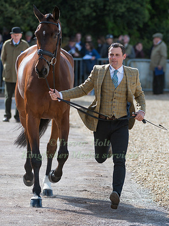 ALEXANDER BRAGG (GBR) AND  ZAGREB