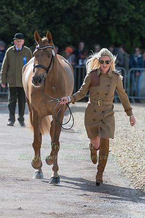 GEORGIE SPENCE (GBR) AND  HALLTOWN HARLEY