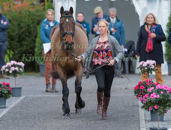ROSALIND CANTER (GBR) AND  ZENSHERA