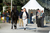 Emily King of Great Britain and Brookleigh