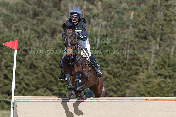 PIGGY MARCH RIDING BROOKFIELD QUALITY