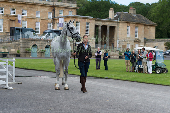 EMMA FORSYTH (GBR) AND SOLTAIR JUSTICE AT THE EQUI-TREK CCI *** FINAL HORSE INSPECTION OF THE 2017 BRAMHAM INTERNATIONAL HORSE TRIALS