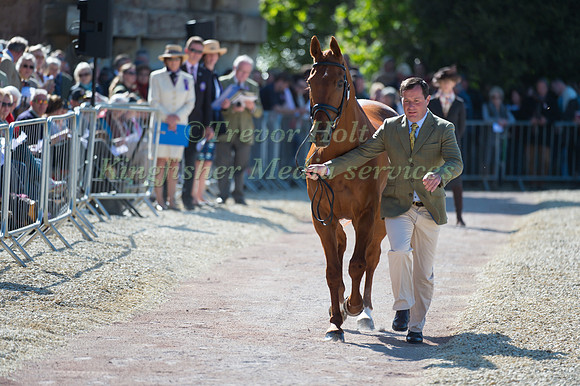 Michael Ryan of Great Britain and Ballylynch Adventure