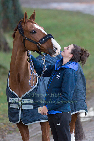 Pappillon with groom