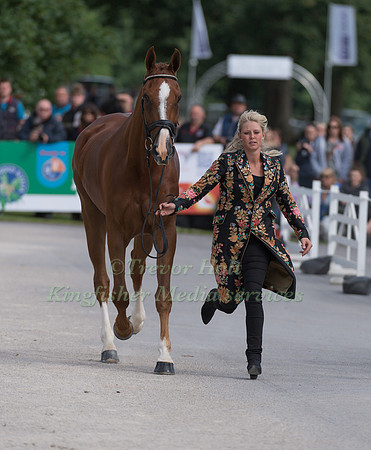 ROO FOX (GBR) AND FLEET STREET AT THE EQUI-TREK CCI *** FINAL HORSE INSPECTION OF THE 2017 BRAMHAM INTERNATIONAL HORSE TRIALS