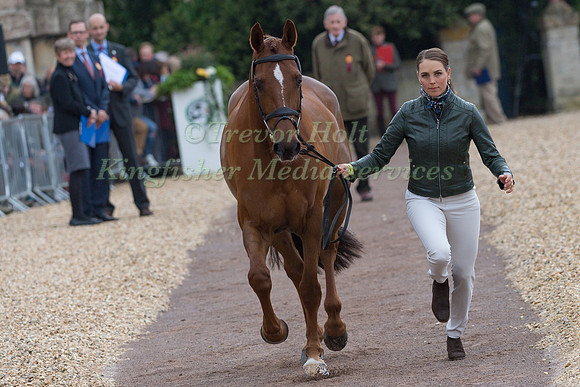 Louise Romeike (SWE) and  Wieloch's Utah Sun