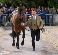 ALEXANDER BRAGG (GBR) AND  REDPATH RANSOM