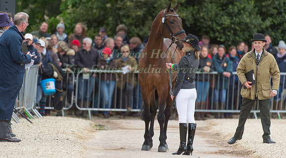 Dee Hankey (GBR) and Chequers Playboy