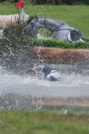 BEN HOBDAY RIDING  SHADOW SEAHORSE