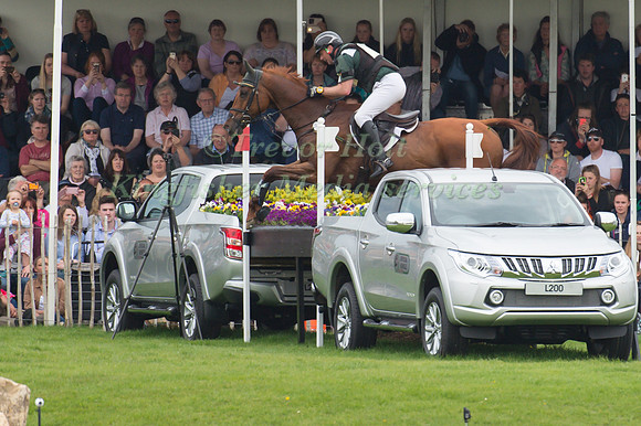 Michael Ryan of Ireland riding Ballylynch Adventure