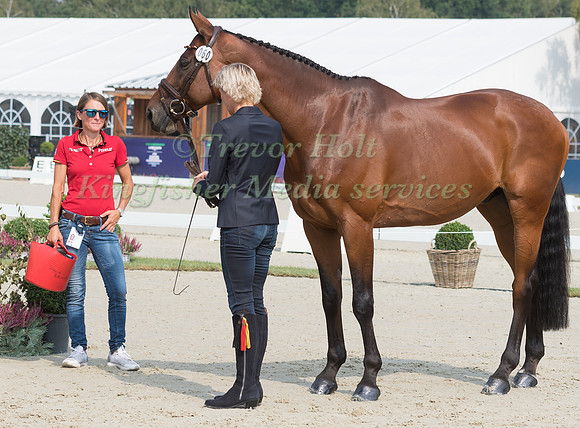 Ingrid Klimke (GER) and SAP Hale Bob OLD