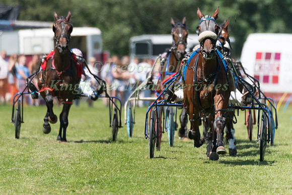 Harness racing at Helifield , Yorkshire