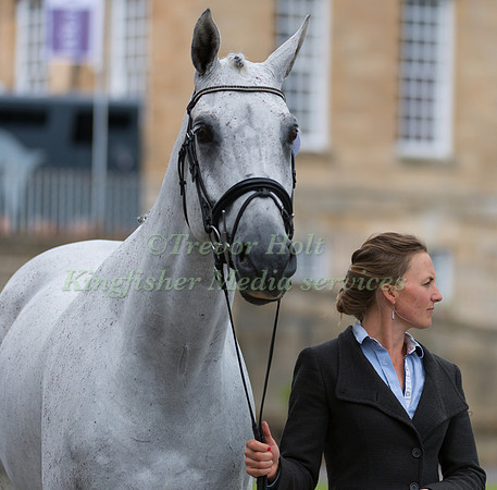 EMMA FORSYTH (GBR) AND SOLTAIR JUSTICE AT THE EQUI-TREK CCI *** FINAL HORSE INSPECTION OF THE 2017 BRAMHAM INTERNATIONAL HORSE TRIALS